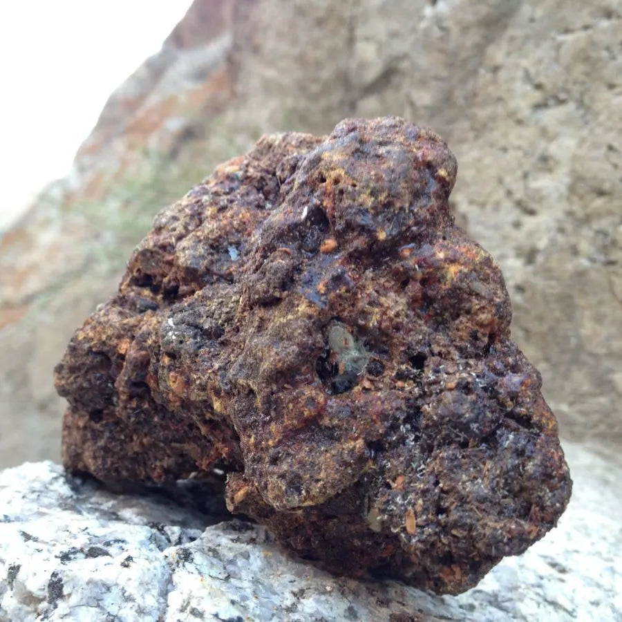 Royale Organics Himalayan Shilajit (Hi-Altitude GMP & HACCP complied Fresh Ladakh Crop) 20 Gm