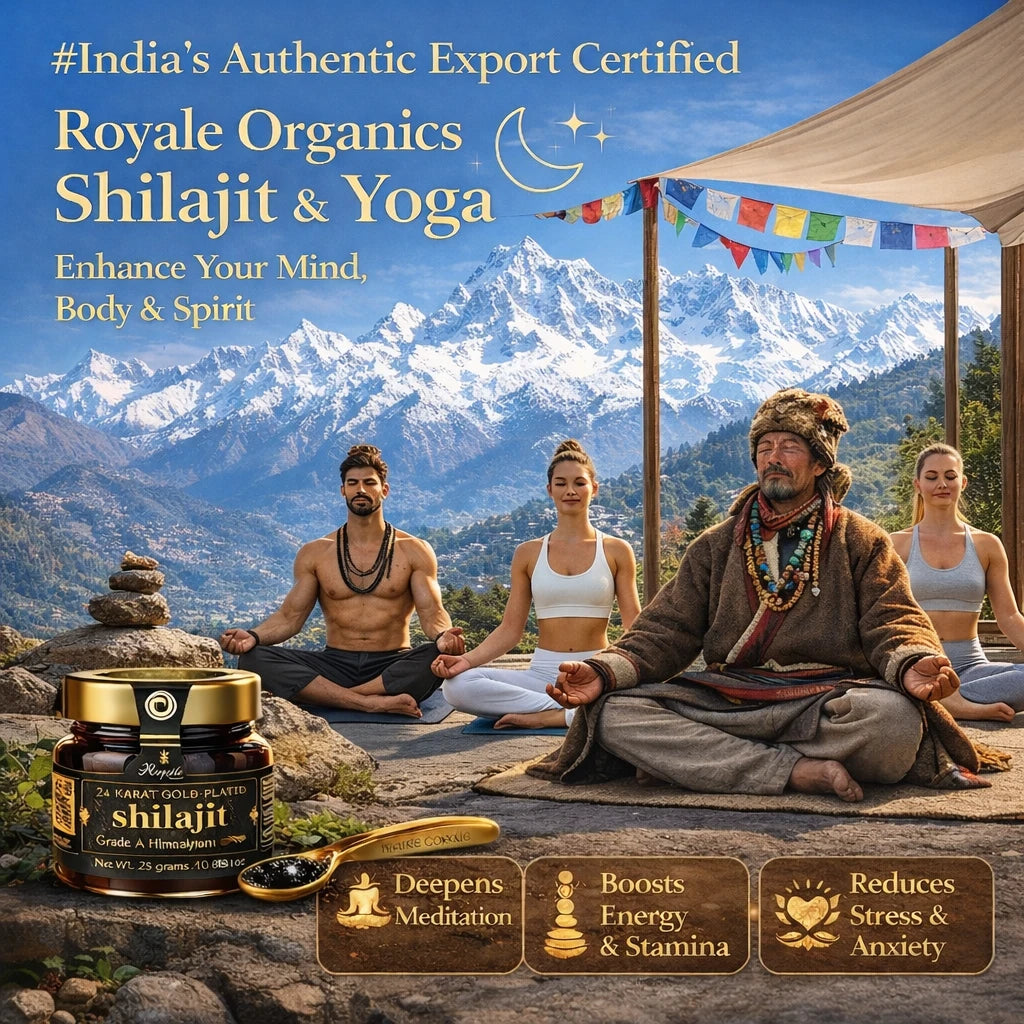 Shilajit with 24-K Gold (Advanced Professional Edition) 29 Gms