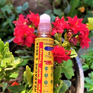 Sanjeevani Pain Relief Natural Roll-on