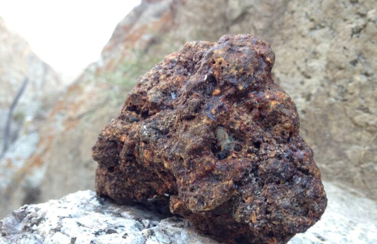 Himalayan Organic Shilajit